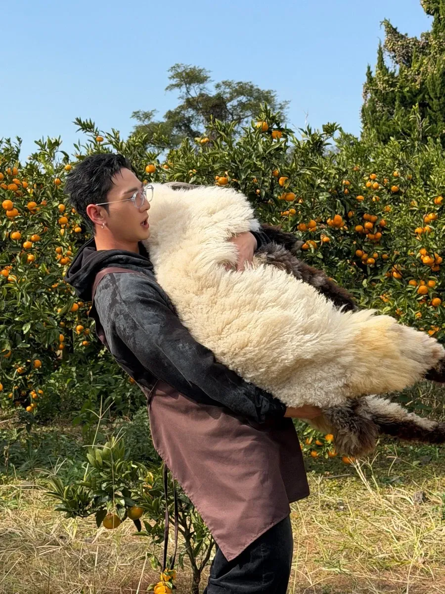 백호의 비하인드 컷