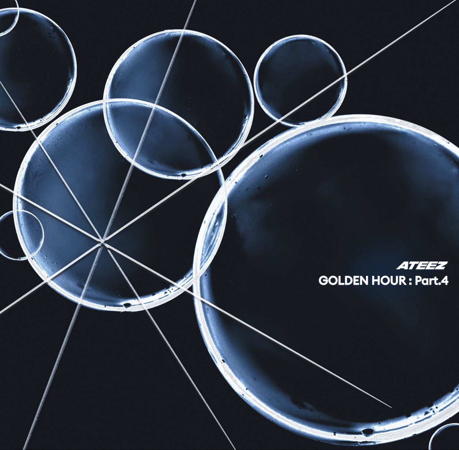 에이티즈 팬이 찍은 순간