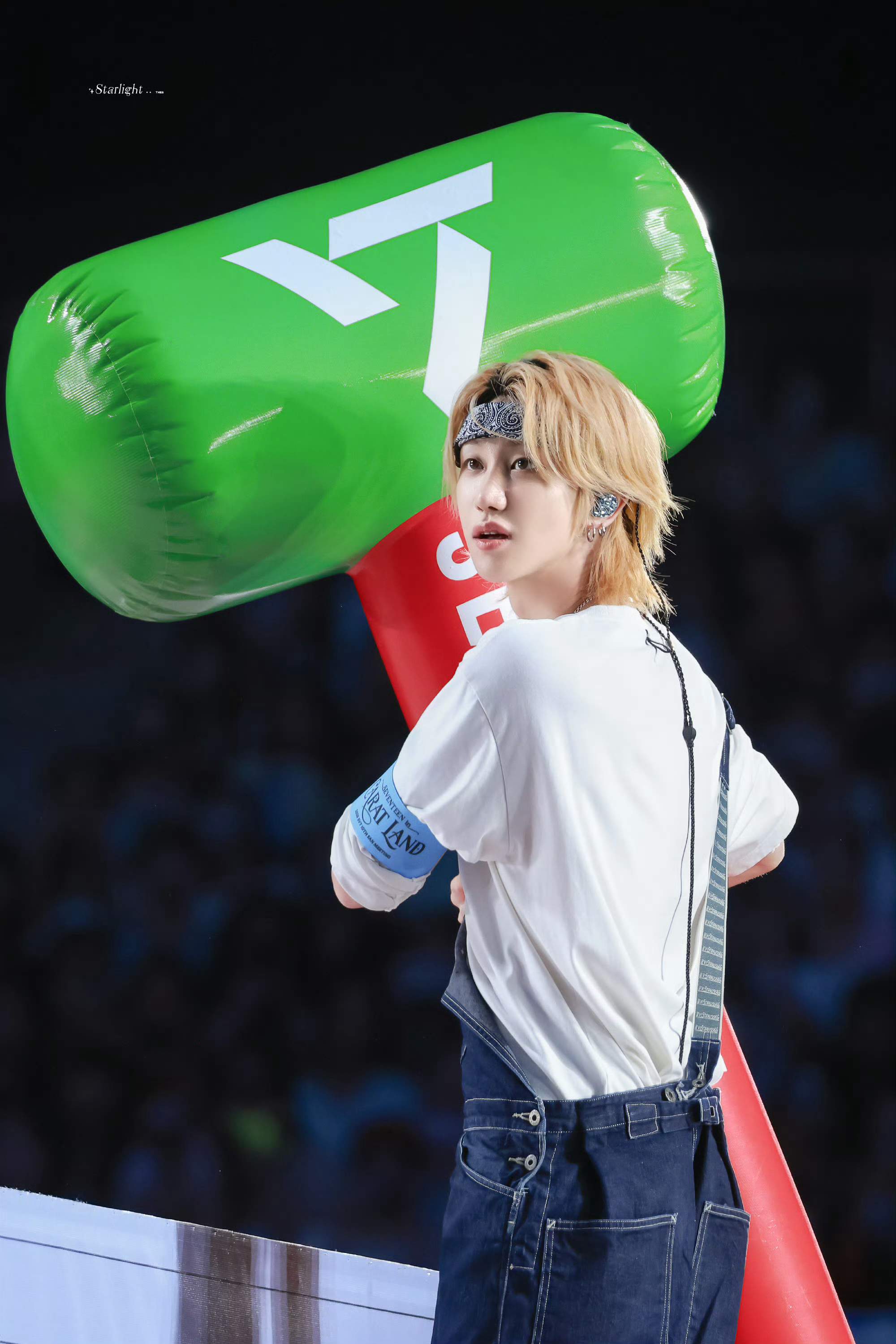 세븐틴 팬이 찍은 순간