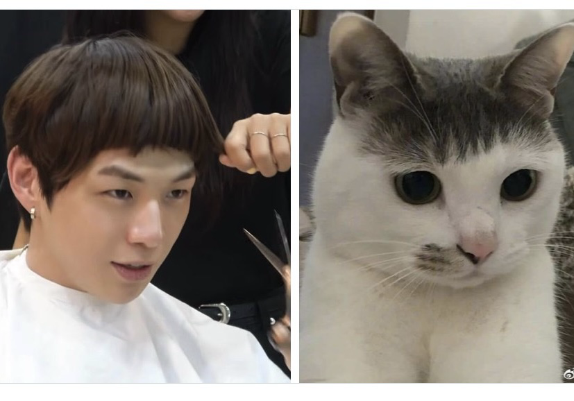 강다니엘 최근 활동샷