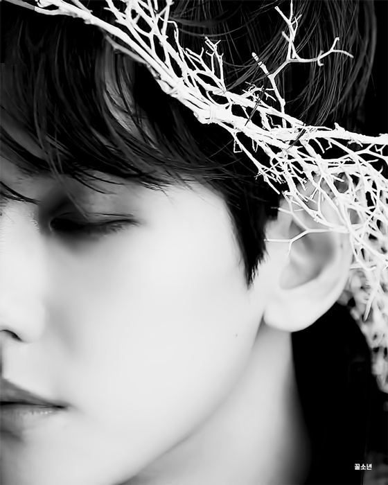 백현 (EXO) 팬이 찍은 순간