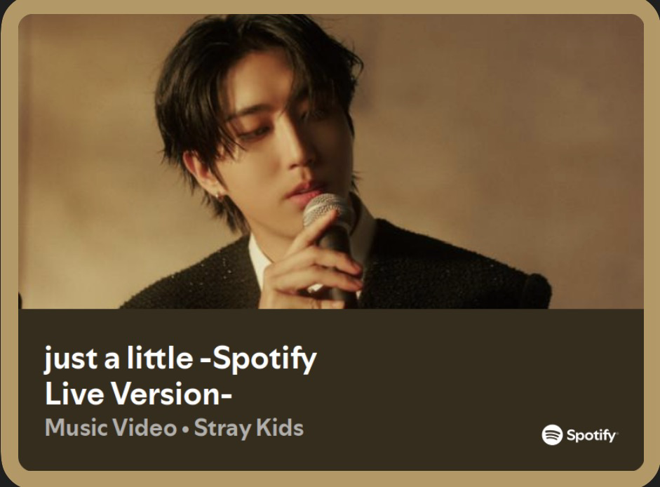 Latest photo of HAN (Stray Kids)