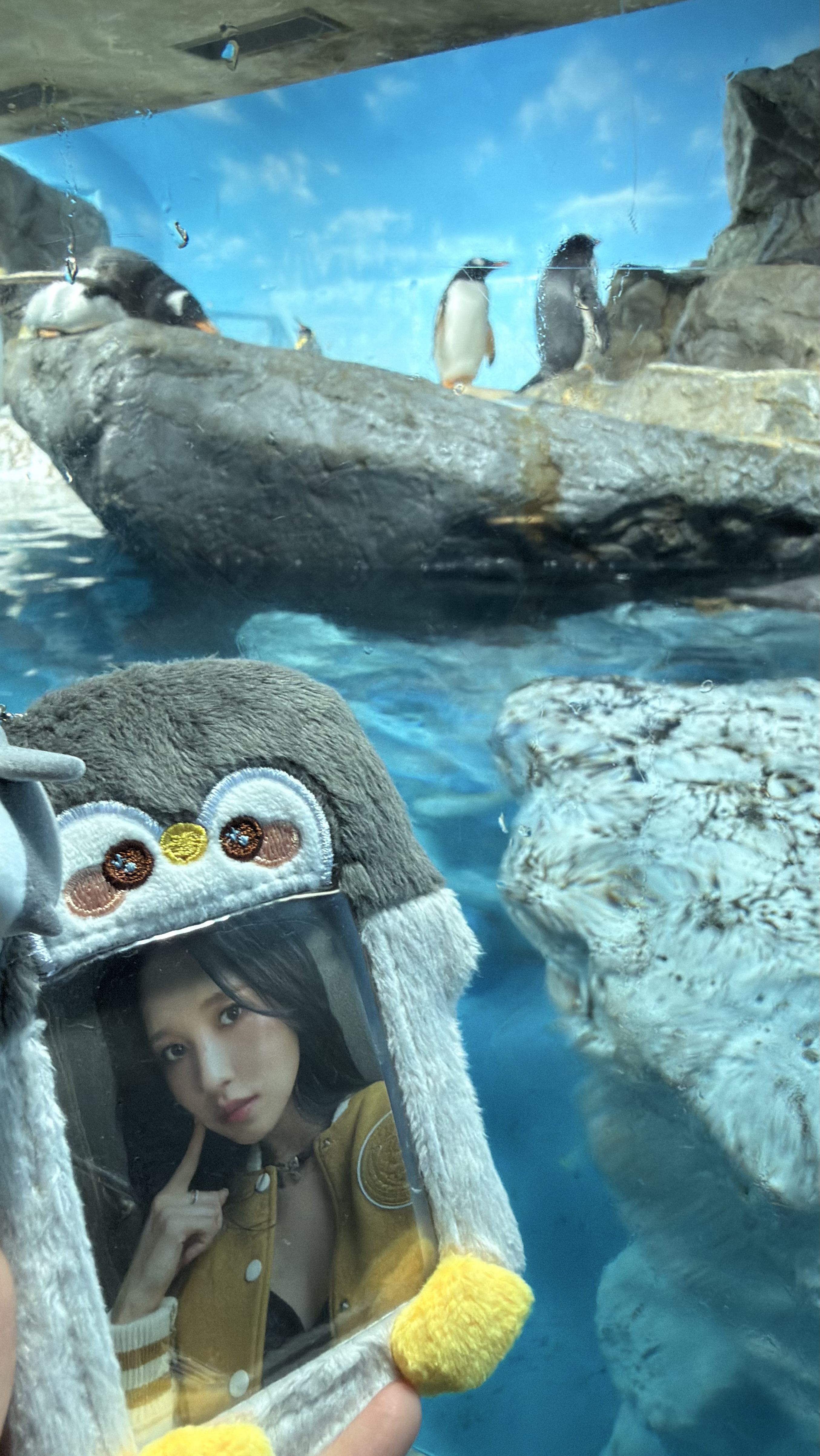 TWICE 팬이 찍은 순간