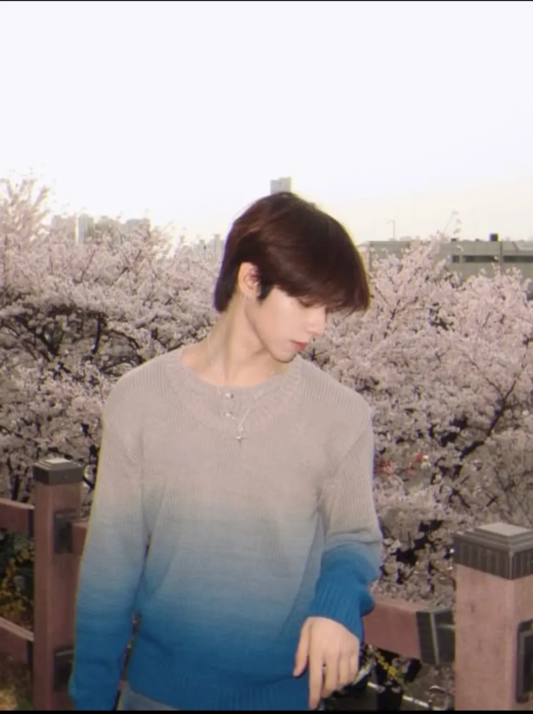 A moment captured by JL (AHOF)'s fan