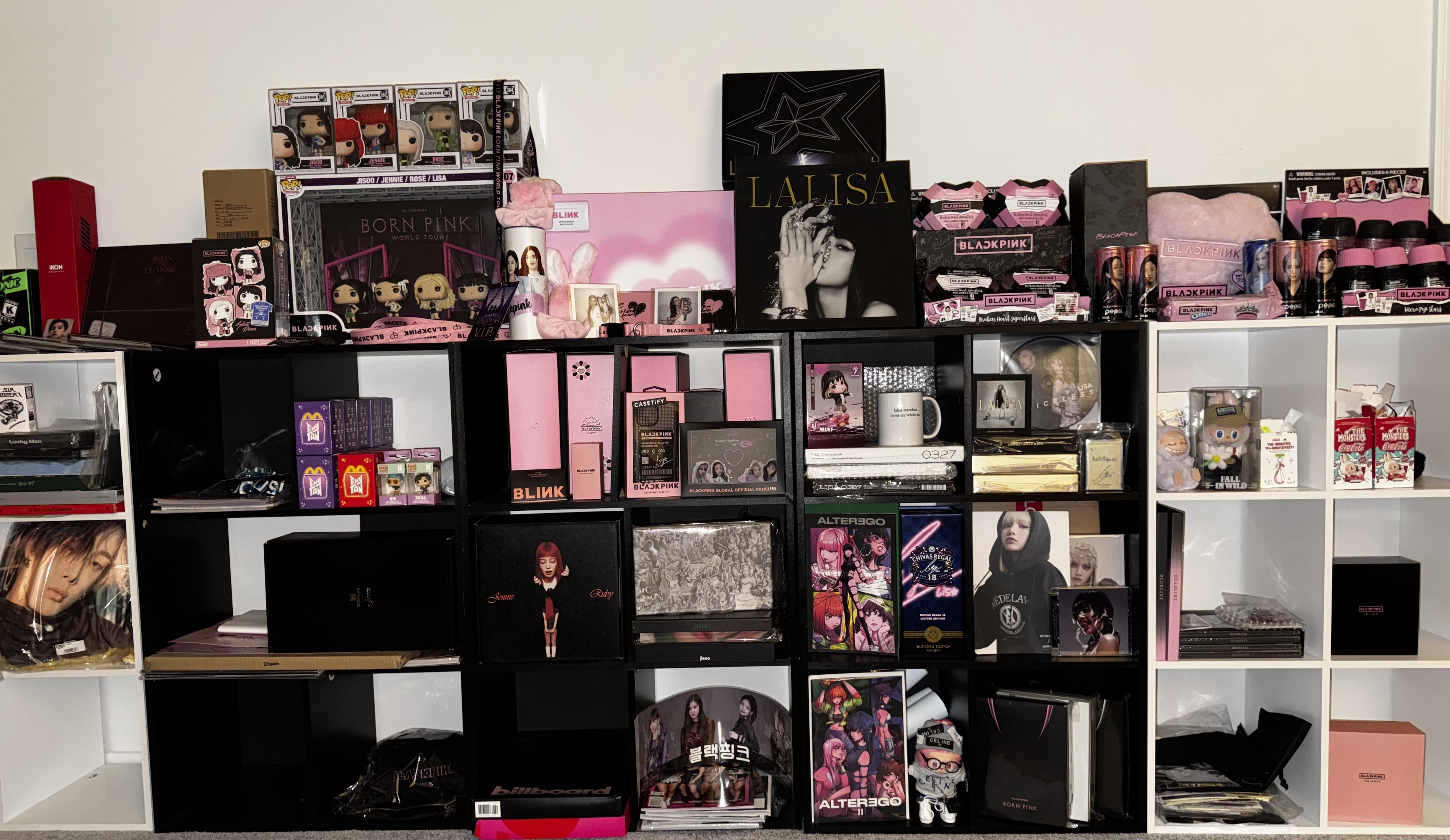 BLACKPINK 팬이 찍은 순간