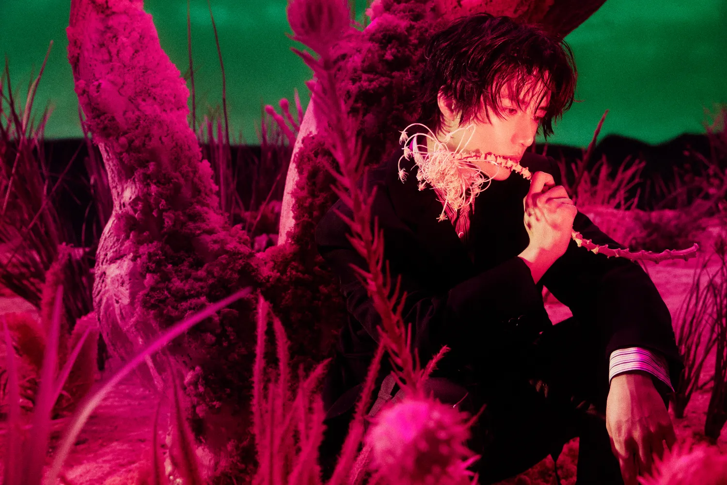 杋圭 (TOMORROW X TOGETHER)的最新照片