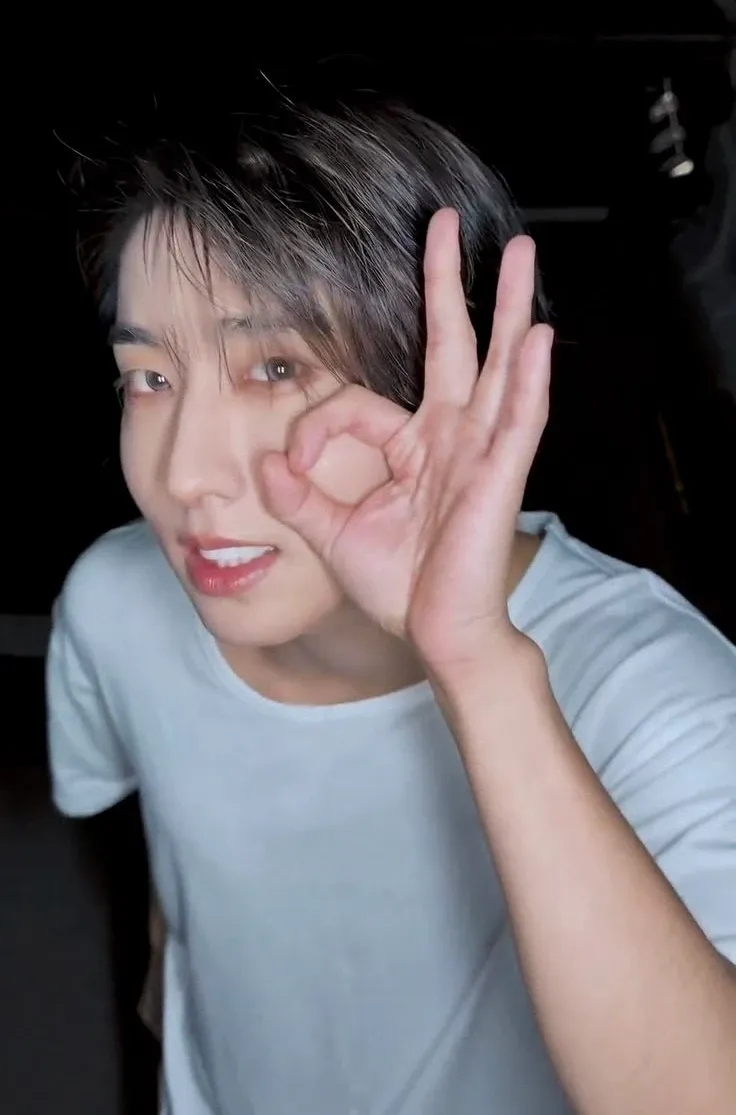 Potret di balik layar HAN (Stray Kids)