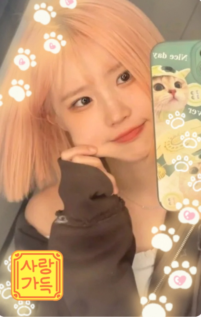 宋河英 (fromis_9)的最新活动照片