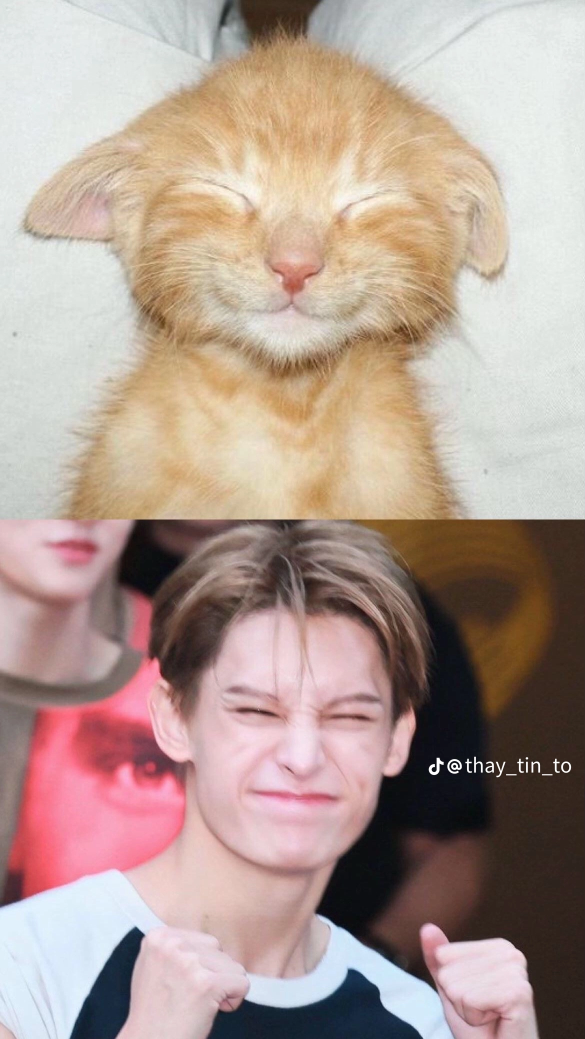 Fandom-recommended wallpaper image of James (CORTIS)