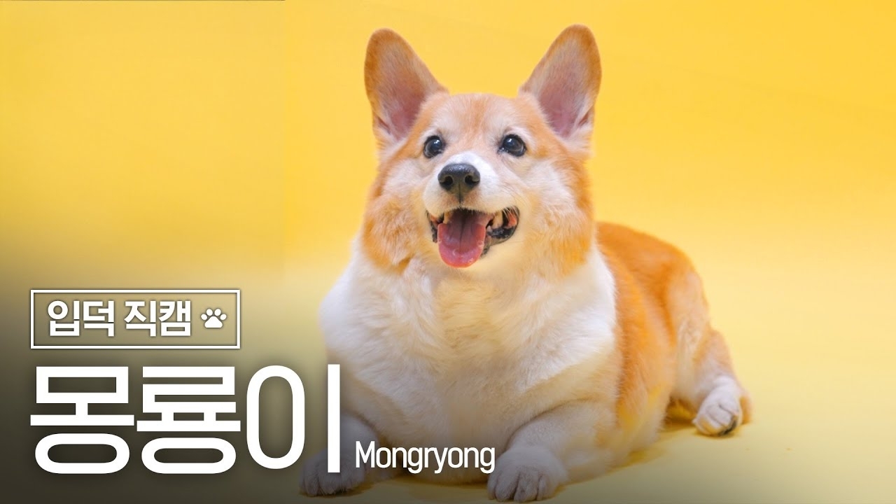 백현 (EXO)의 비하인드 컷