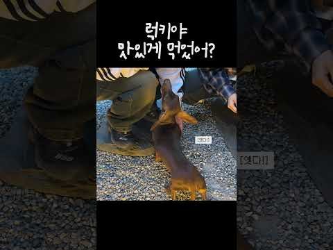 Recent activity shot of Seulgi (Red Velvet)