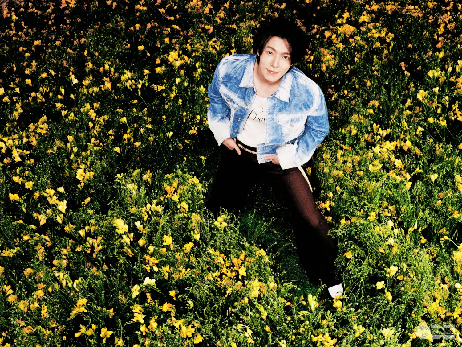 Recent activity shot of Donghae (Super Junior)