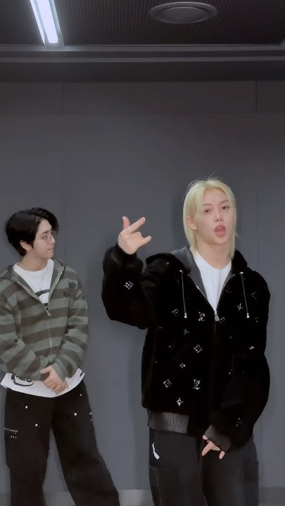 Stray Kids 최근 활동샷