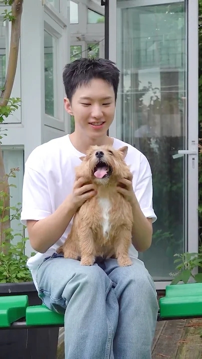 세븐틴 최근 활동샷