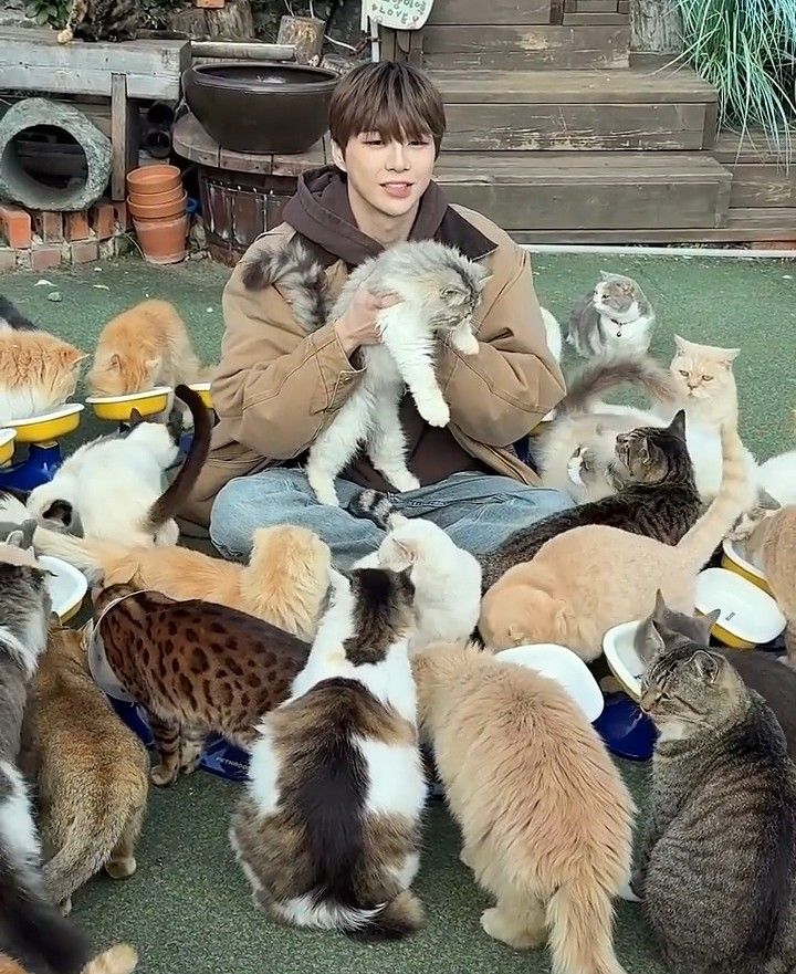 Latest photo of Kang Daniel