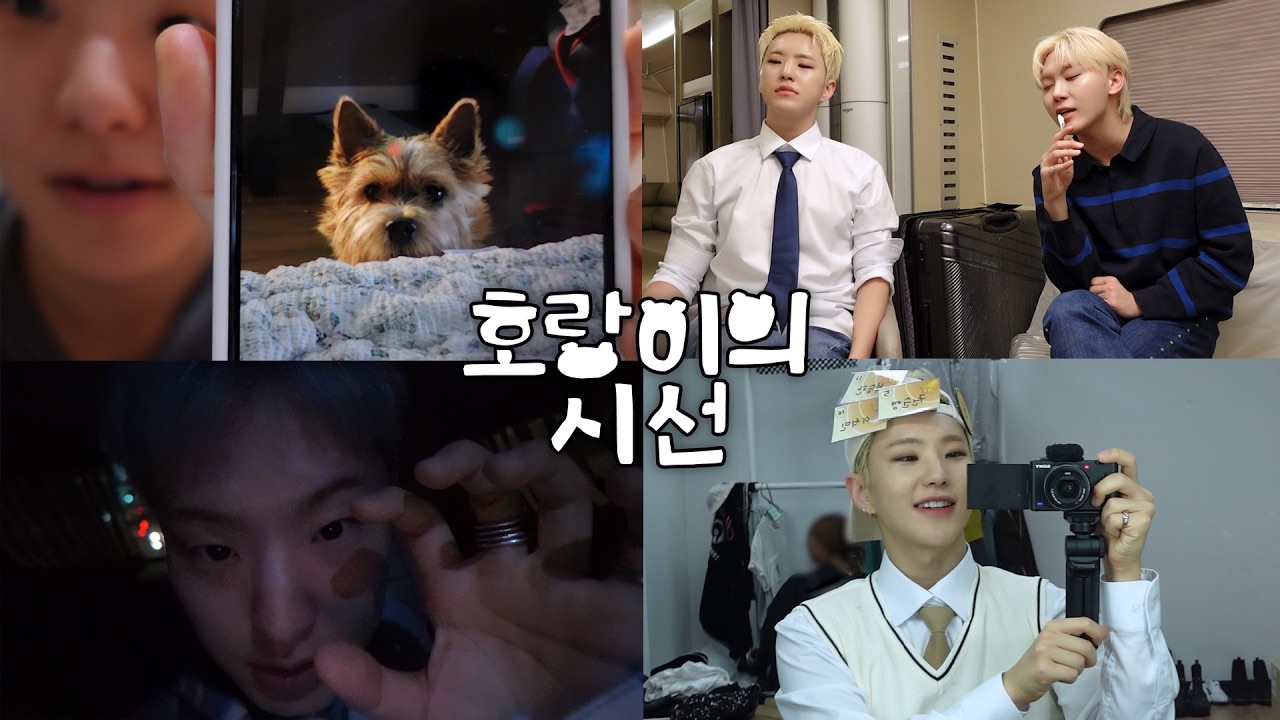 세븐틴의 최신 사진