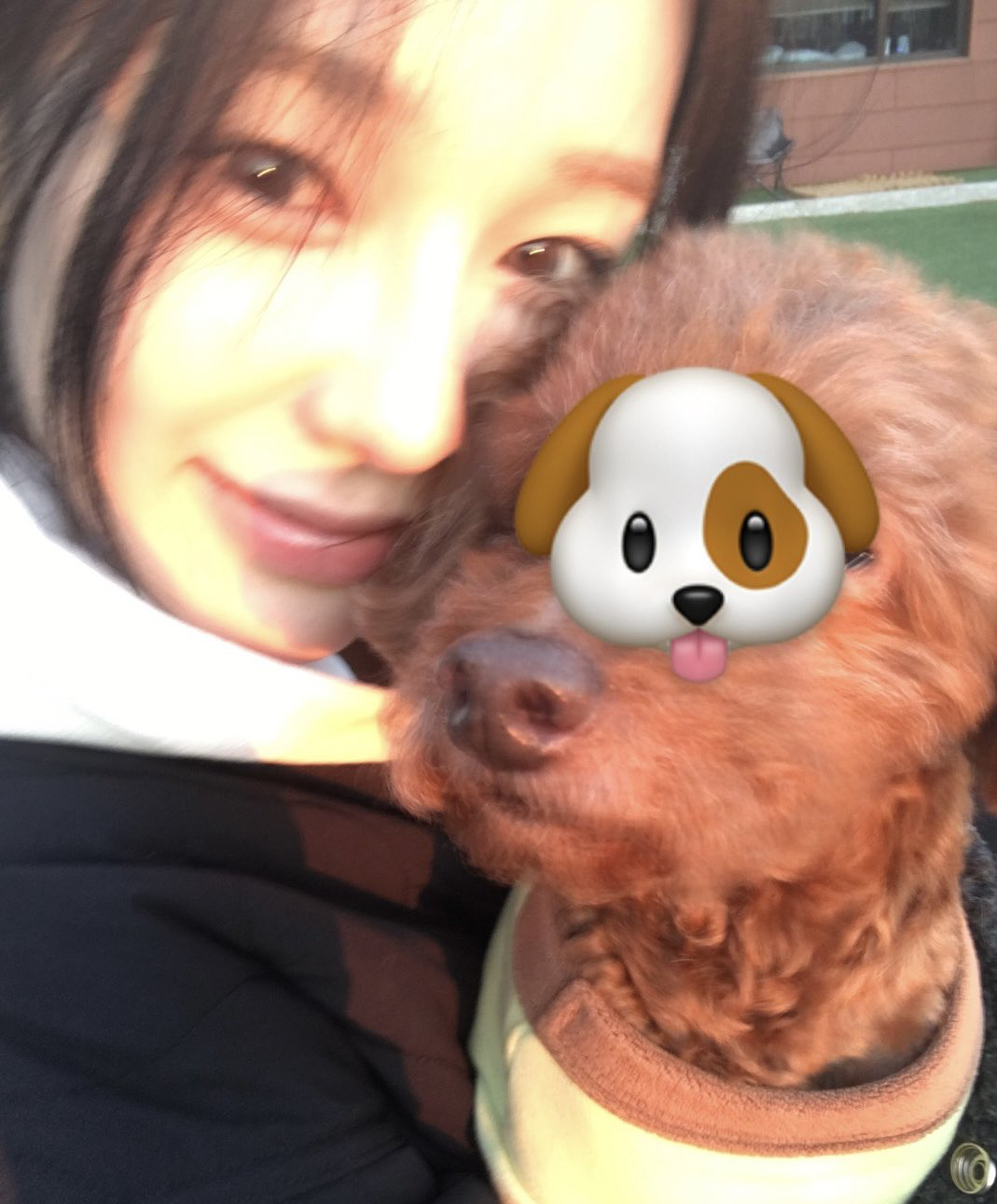 A moment captured by Ryu Sarang (izna)'s fan