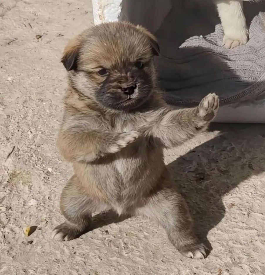 Behind-the-scenes cut of Jinjin (ASTRO)