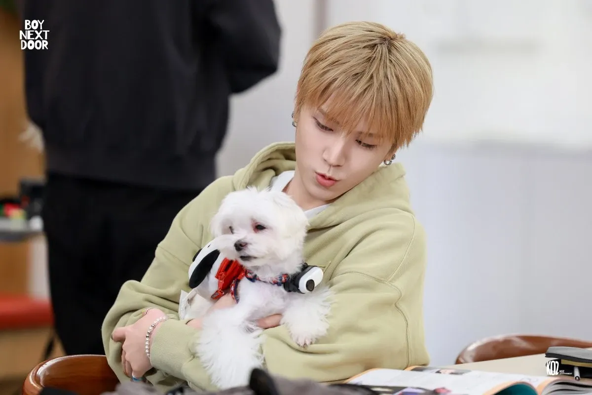 Latest photo of Riwoo (BOYNEXTDOOR)