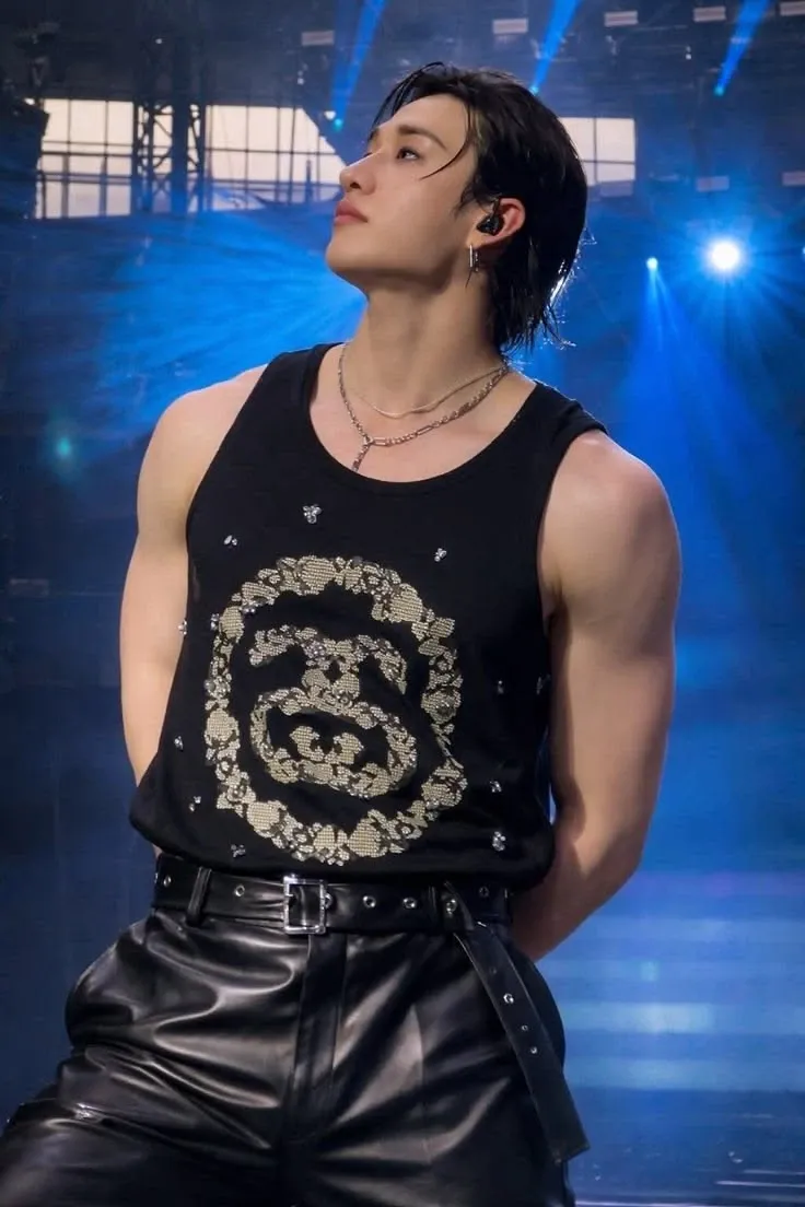 方灿 (Stray Kids)粉丝拍下的瞬间