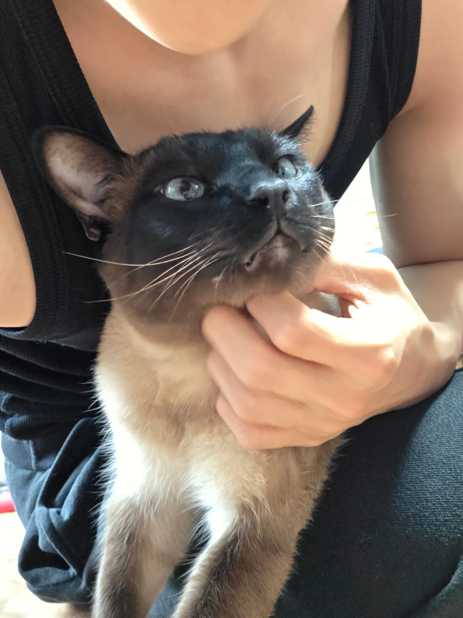 석매튜 (제로베이스원)의 최신 사진