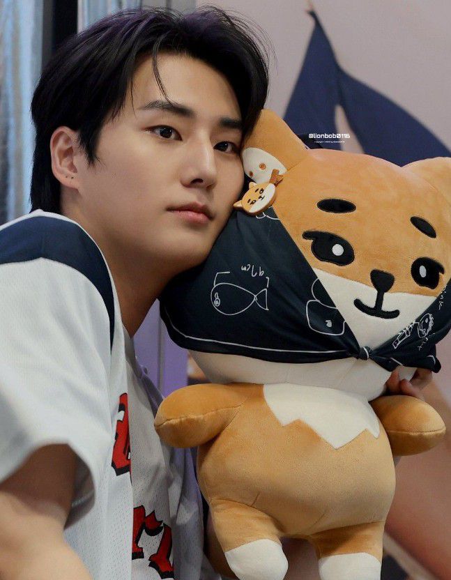 Young K (DAY6) 팬이 찍은 순간