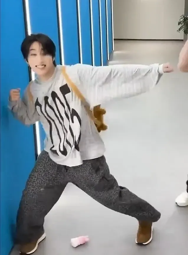 A moment captured by HAN (Stray Kids)'s fan