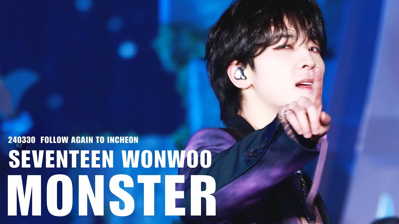 A moment captured by Wonwoo (SEVENTEEN)'s fan