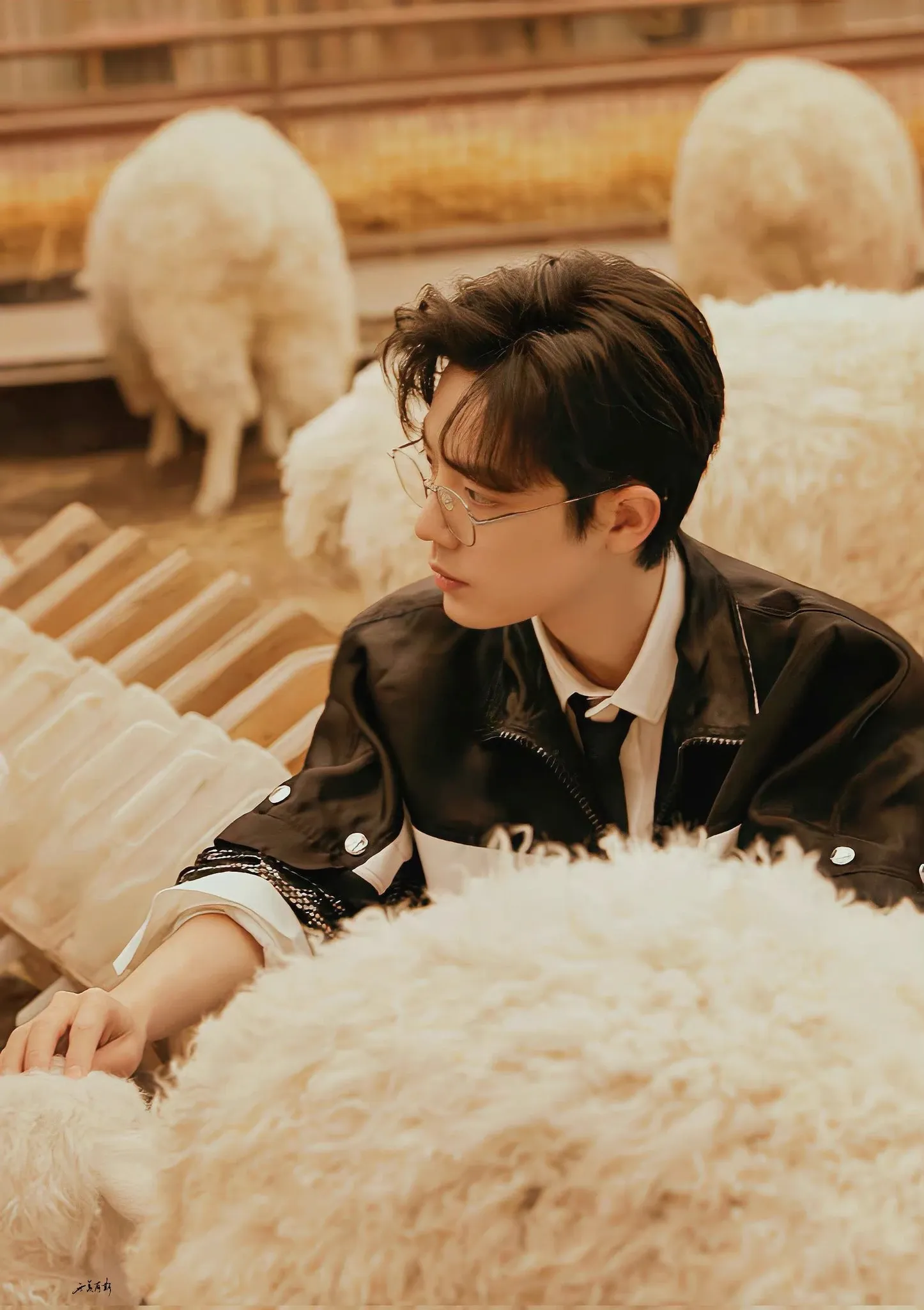 Recent activity shot of Xiao Zhan