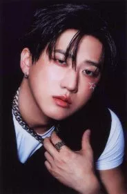 チャンビン (Stray Kids)の最近の活動写真