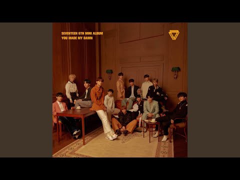 Momen yang diabadikan oleh penggemar SEVENTEEN