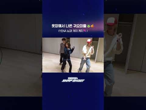 세븐틴 팬이 찍은 순간