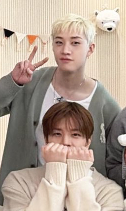 Recent activity shot of Seungmin (Stray Kids)