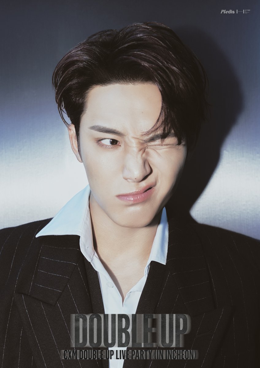 세븐틴 팬이 찍은 순간