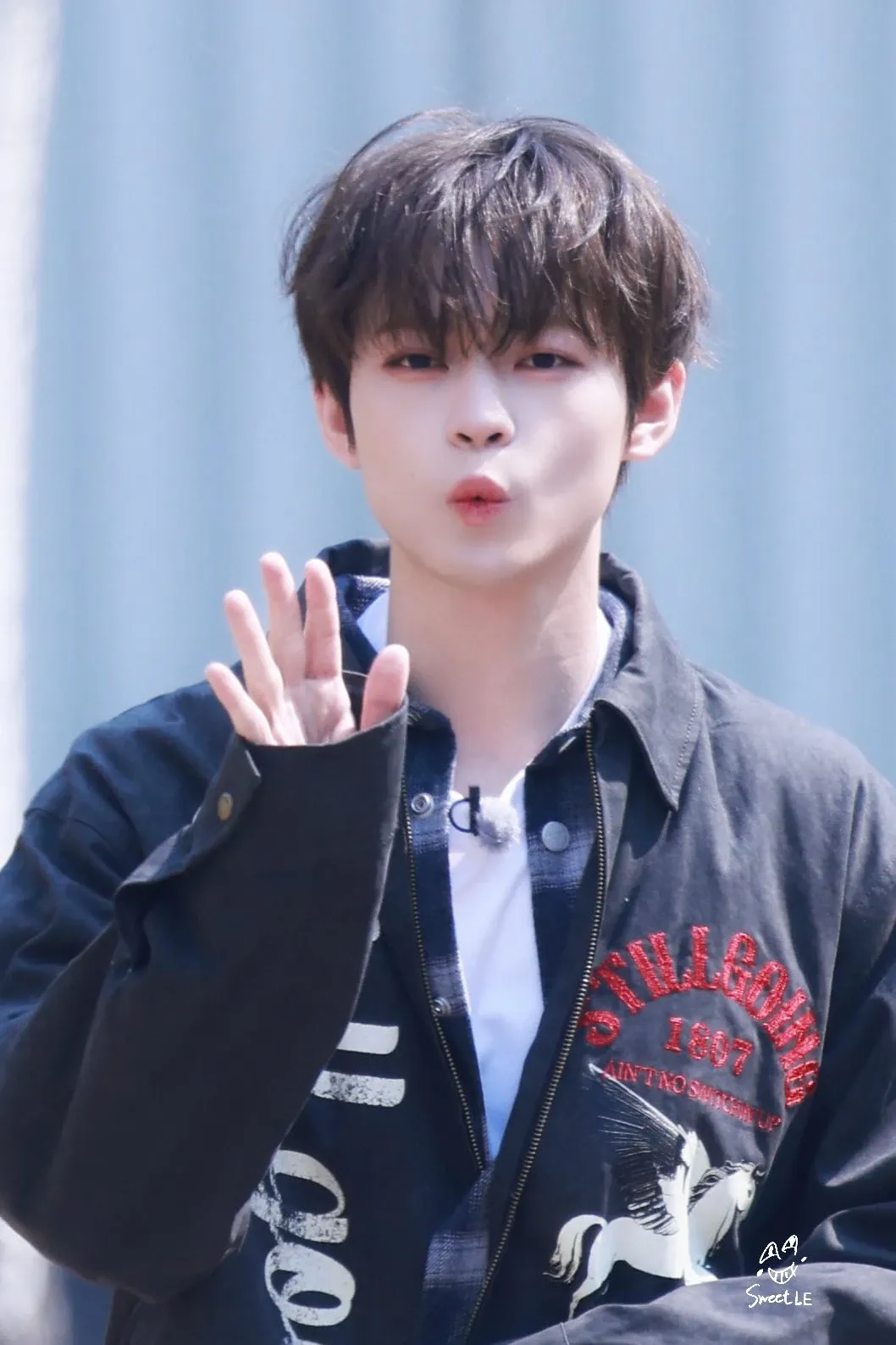 辰乐 (NCT DREAM)的最新照片