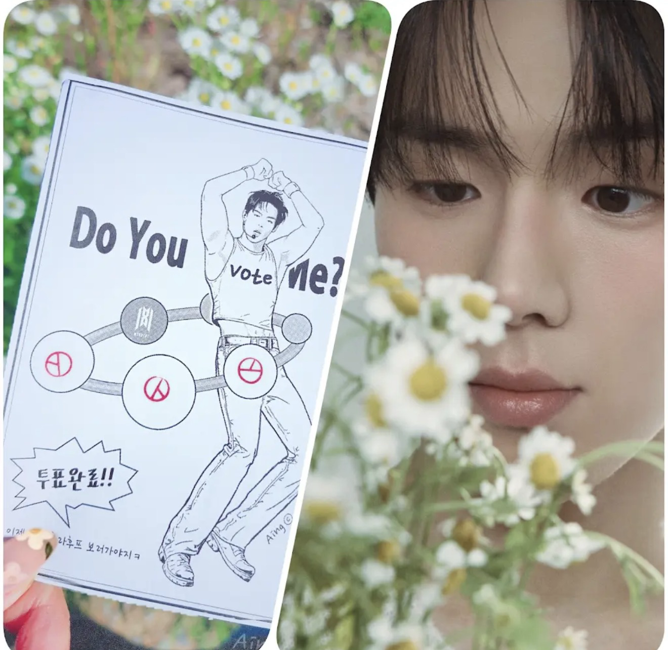 Popular K-POP post loved by fans