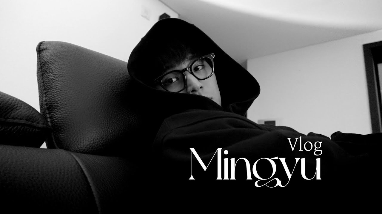 A moment captured by Mingyu (SEVENTEEN)'s fan