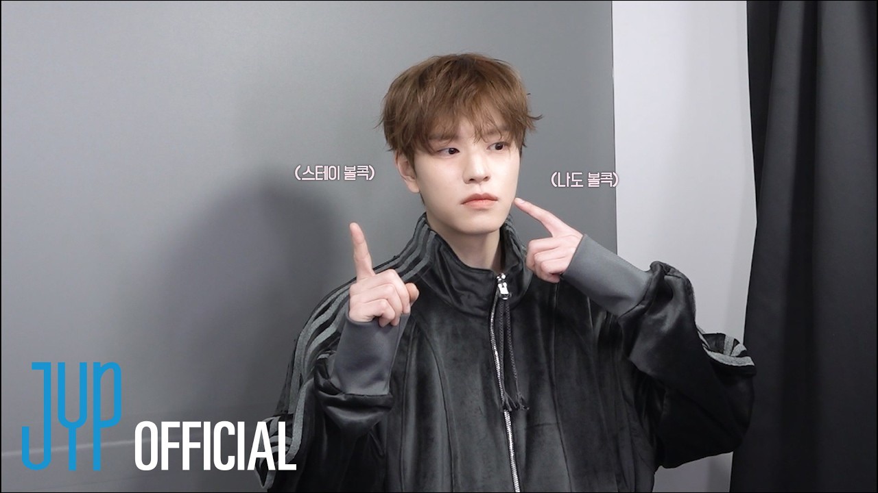 Stray Kids 팬이 찍은 순간