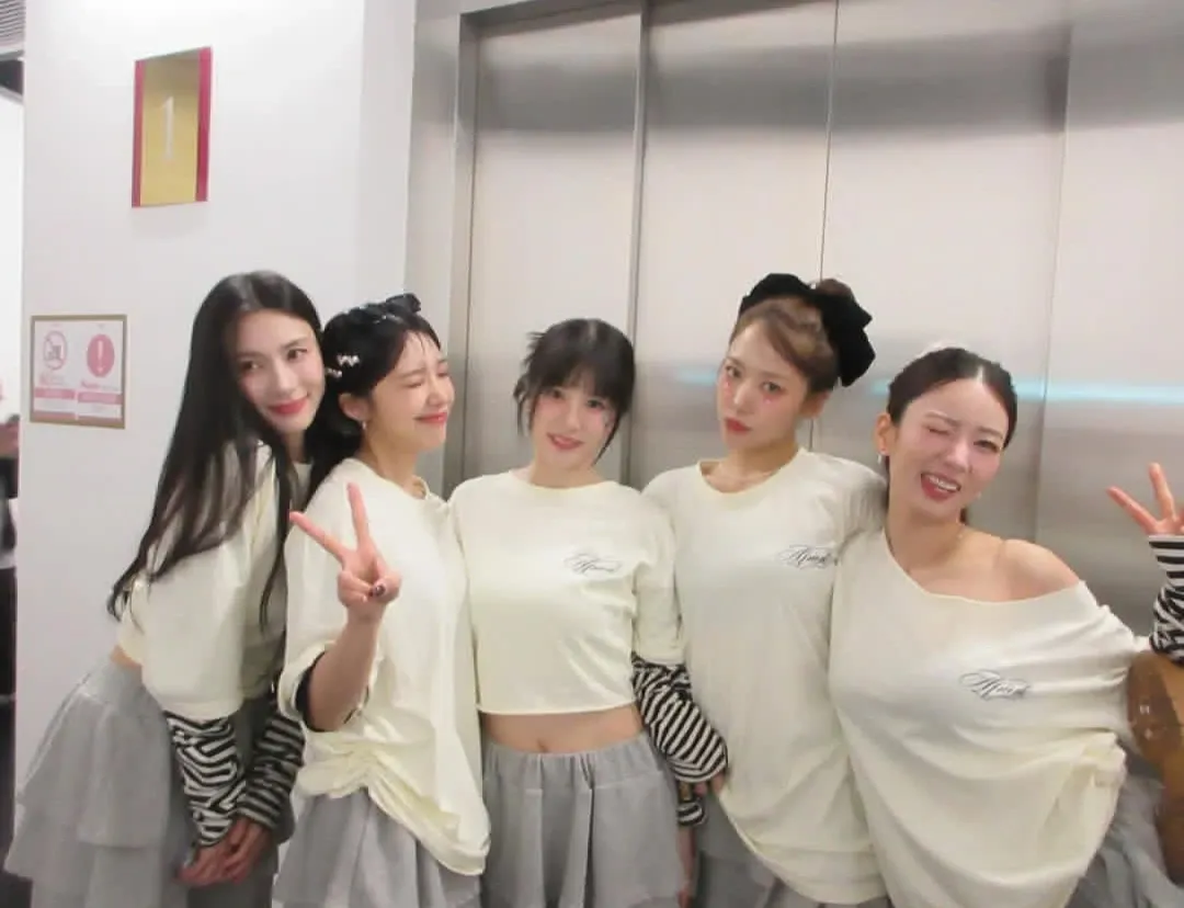 Apinkファンが撮った瞬間