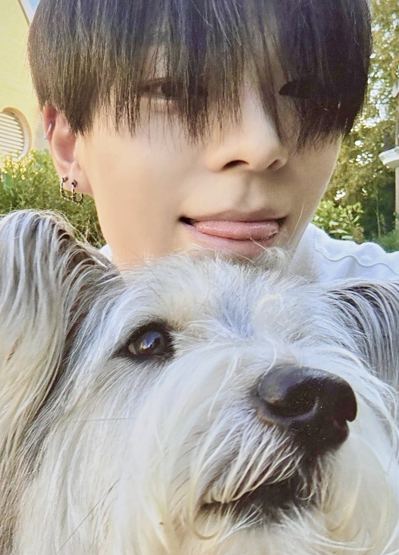 김준민 (WHIB) 최근 활동샷