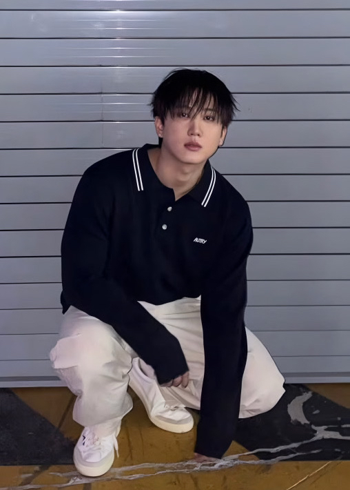 チャンビン (Stray Kids)ファンが撮った瞬間