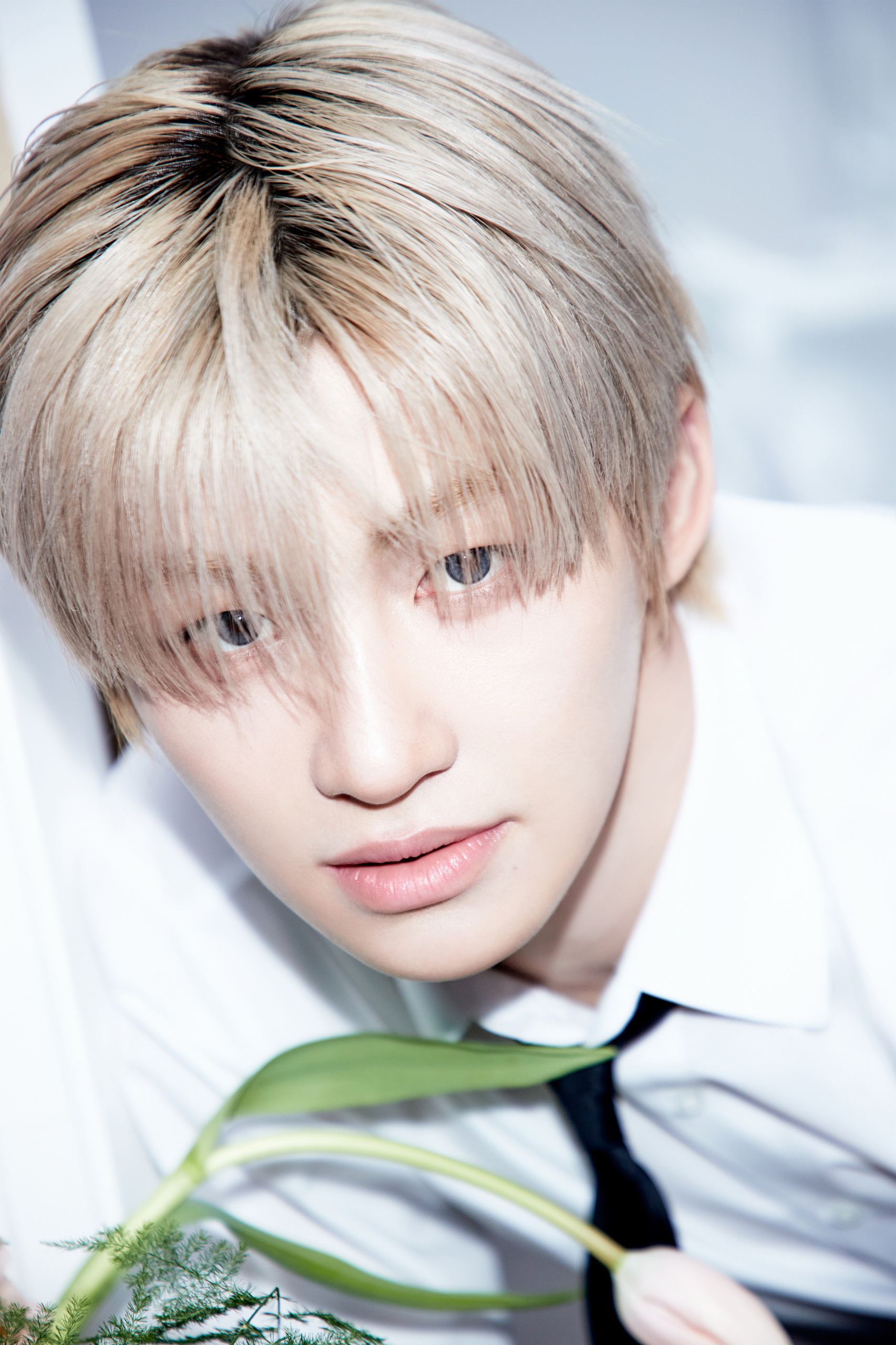 A moment captured by Jihoon (TWS)'s fan