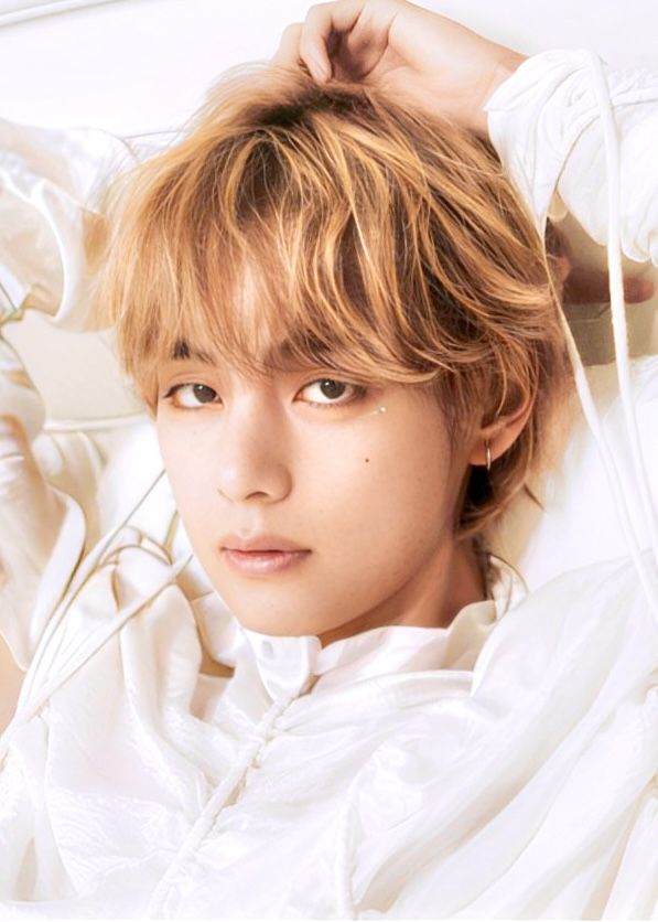 Potret di balik layar V (BTS)