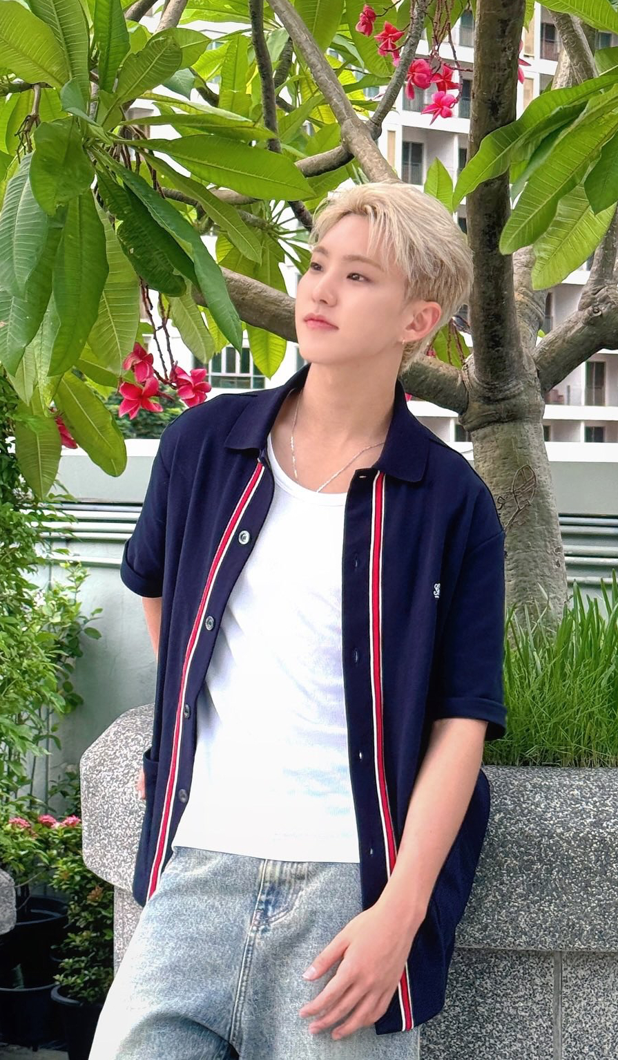 The most beloved wallpaper among Hoshi (SEVENTEEN)'s fans