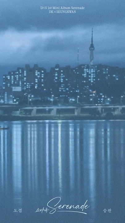 세븐틴 팬이 찍은 순간