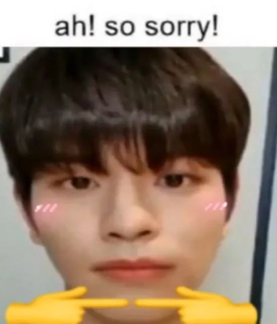 A moment captured by Seungmin (Stray Kids)'s fan