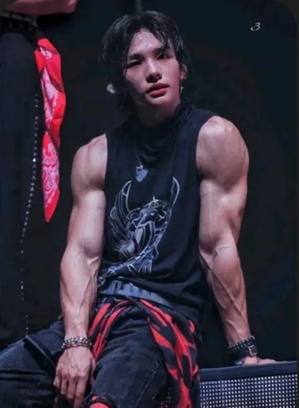 Stray Kids 최근 활동샷