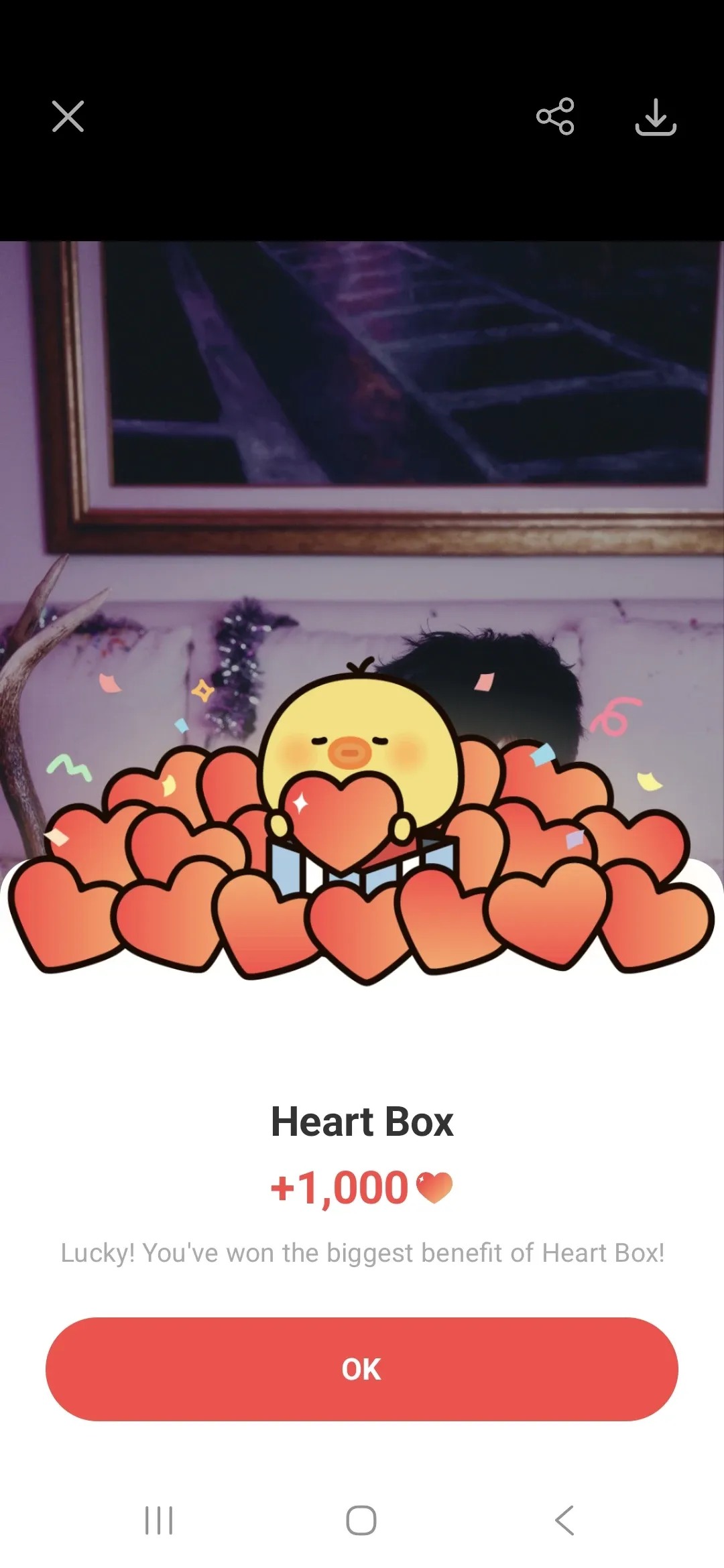 Recent activity shot of Stray Kids