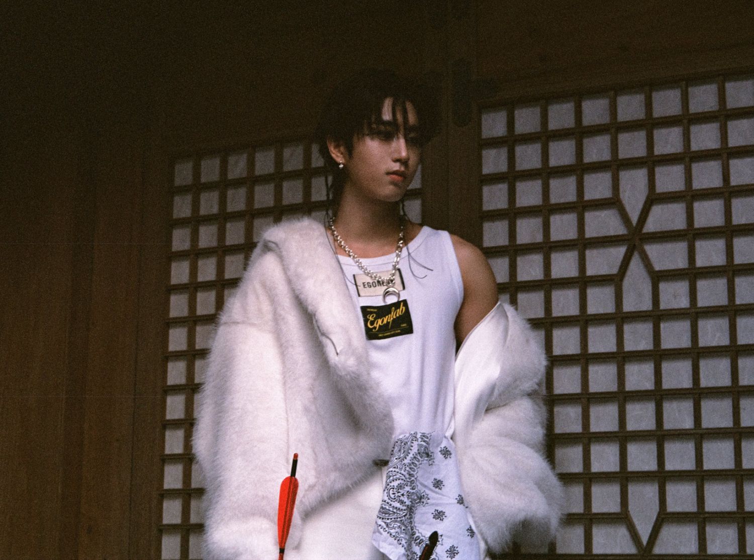 Recent activity shot of HAN (Stray Kids)