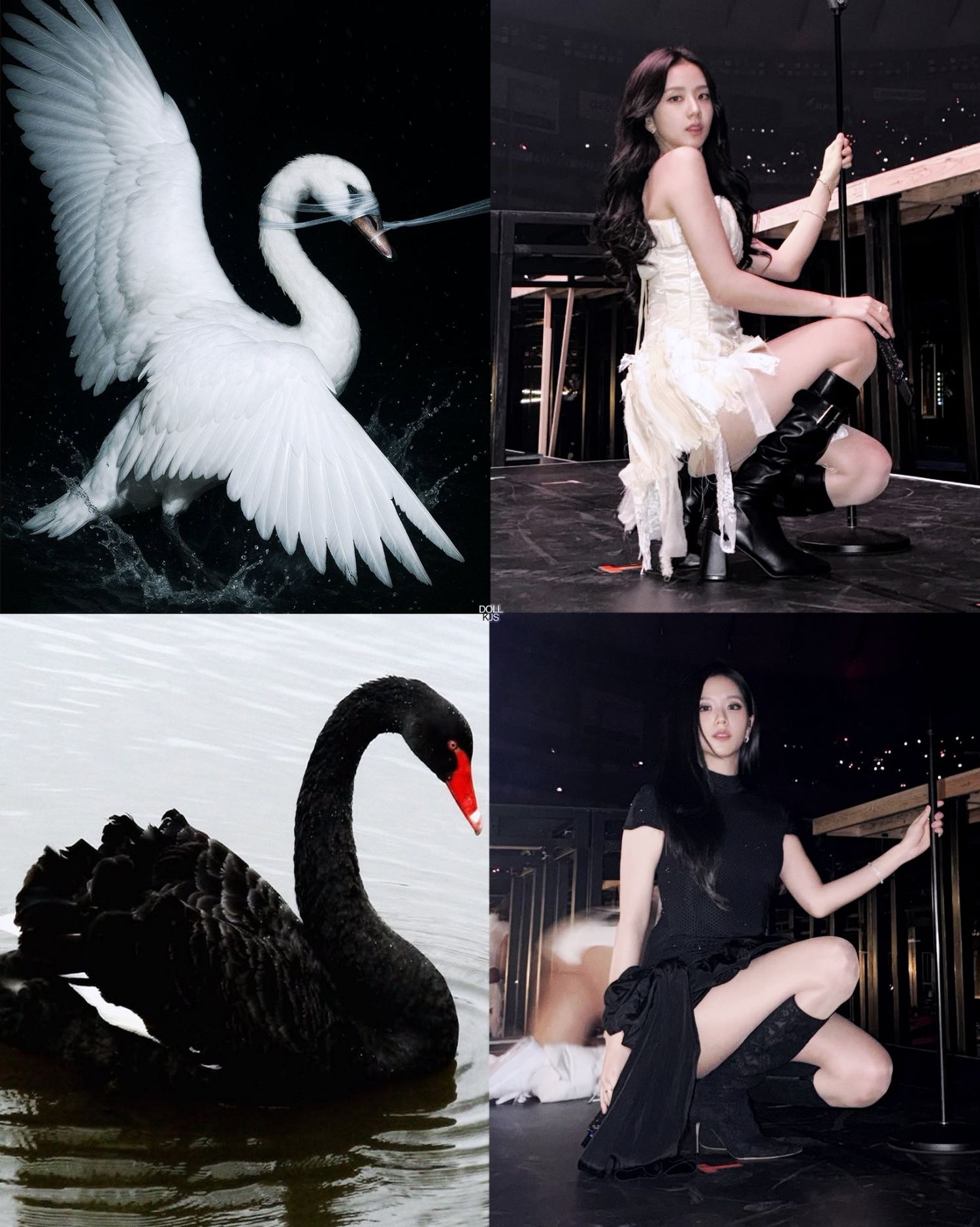 ジス (BLACKPINK)ファンが撮った瞬間